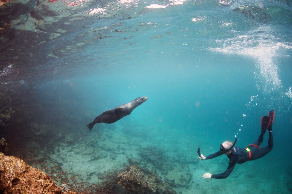Galapagos sukellus