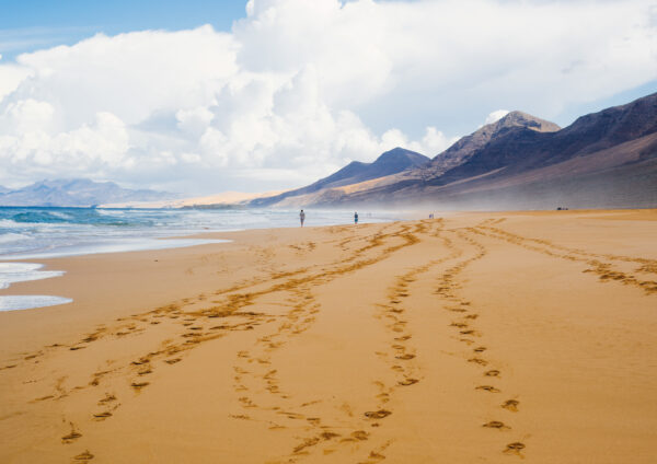 Kanariansaarten risteilyllä vieraillaan Fuerteventuran rannoilla